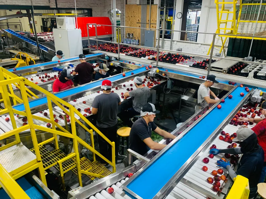 Detail Distribution Center Conveyor Belt Sorting Packages Number 7