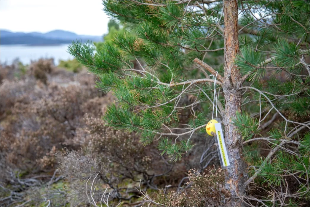 Environmental Monitoring Sensors In Natural Habitat 56f8