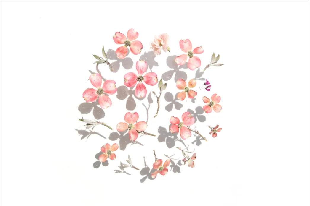 Detail Floral Nail Art Tutorial Step By Step Easy Number 13