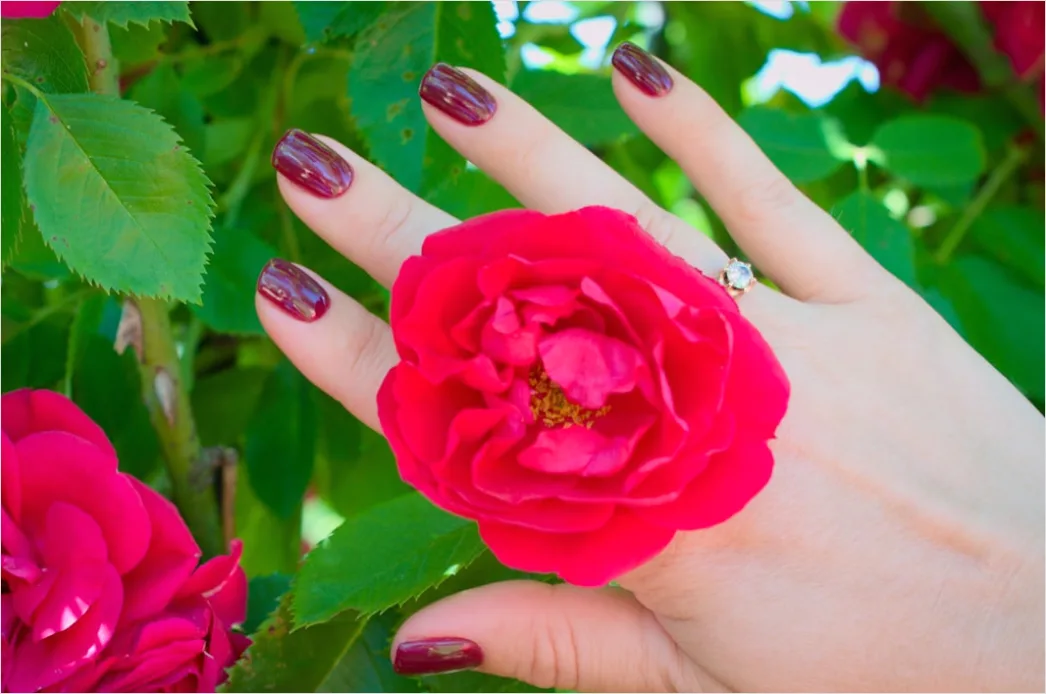 Detail Floral Nail Art Tutorial Step By Step Easy Number 3