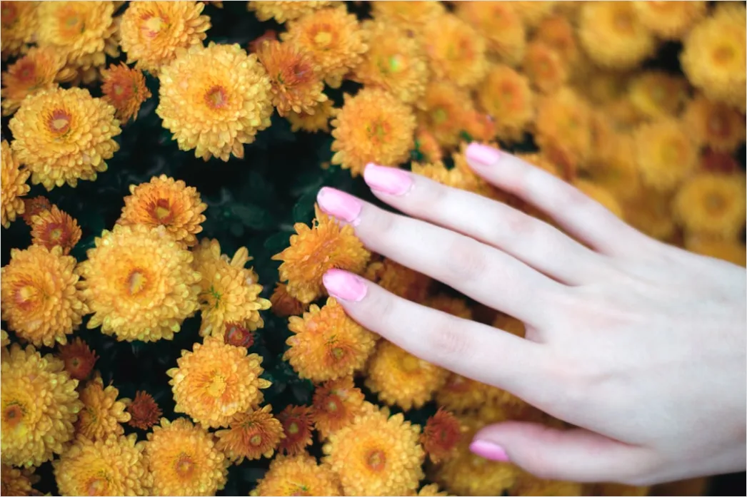 Detail Floral Nail Art Tutorial Step By Step Easy Number 5