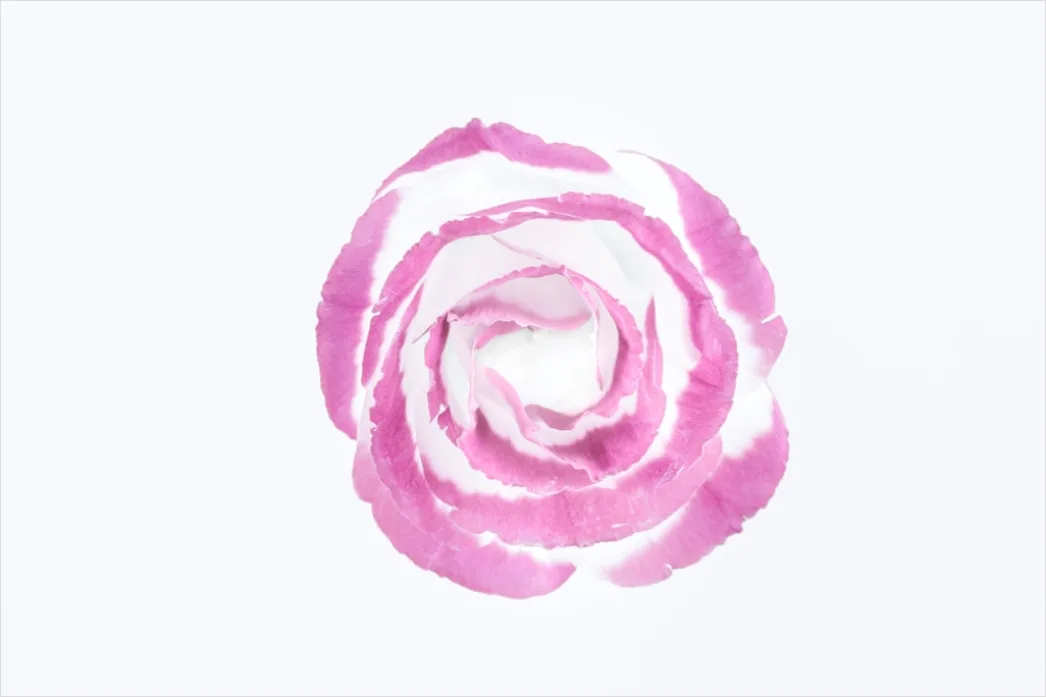 Detail Floral Nail Art Tutorial Step By Step Easy Number 9