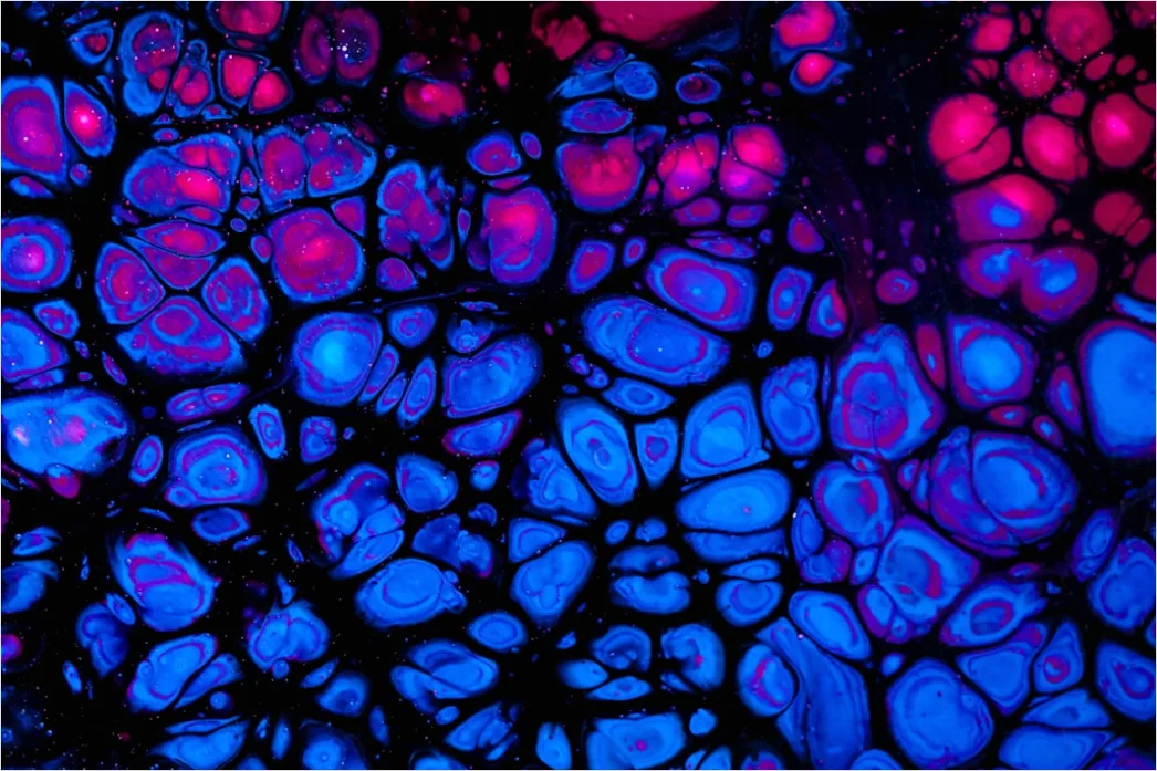 Detail Fluorescence Microscopy Image Cells Glowing Colors Number 2
