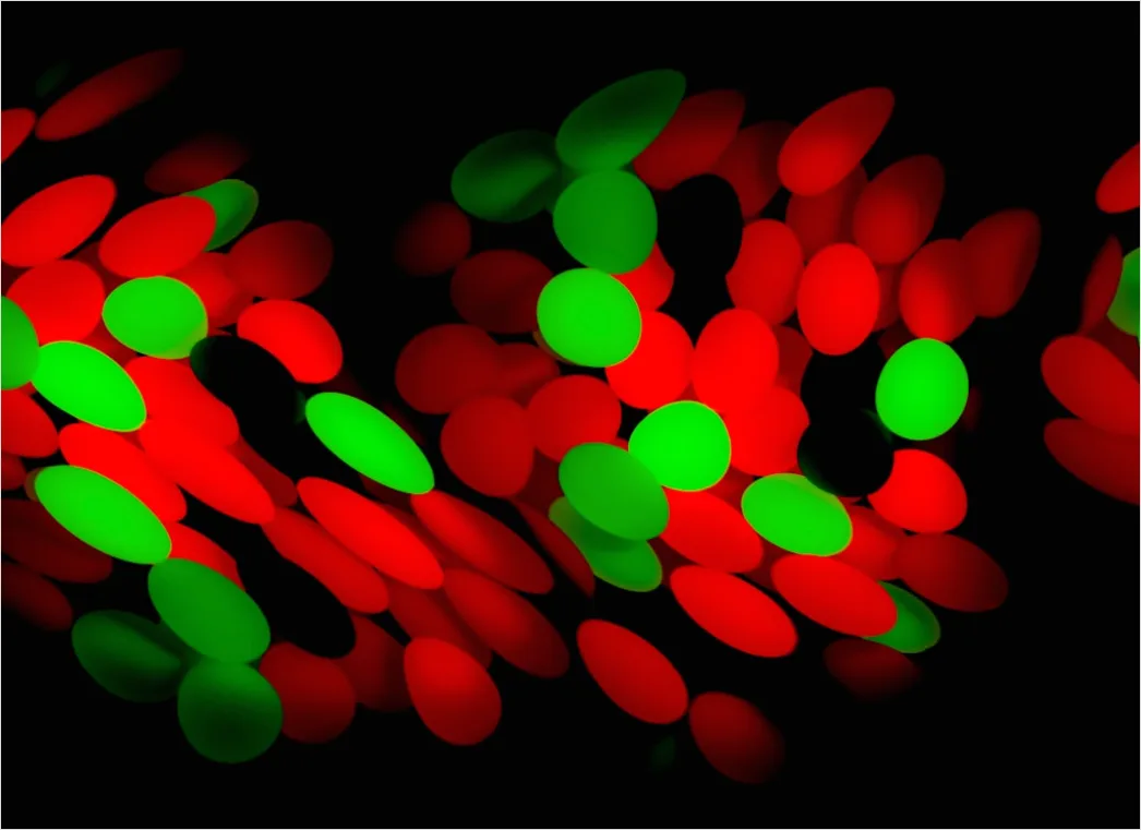 Detail Fluorescence Microscopy Image Cells Glowing Colors Number 16