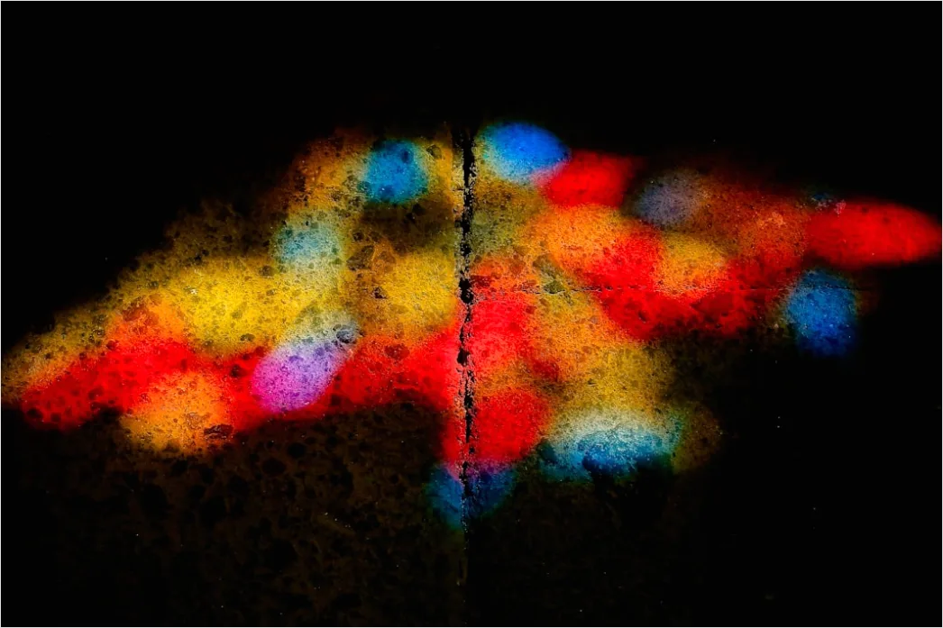 Detail Fluorescence Microscopy Image Cells Glowing Colors Number 19