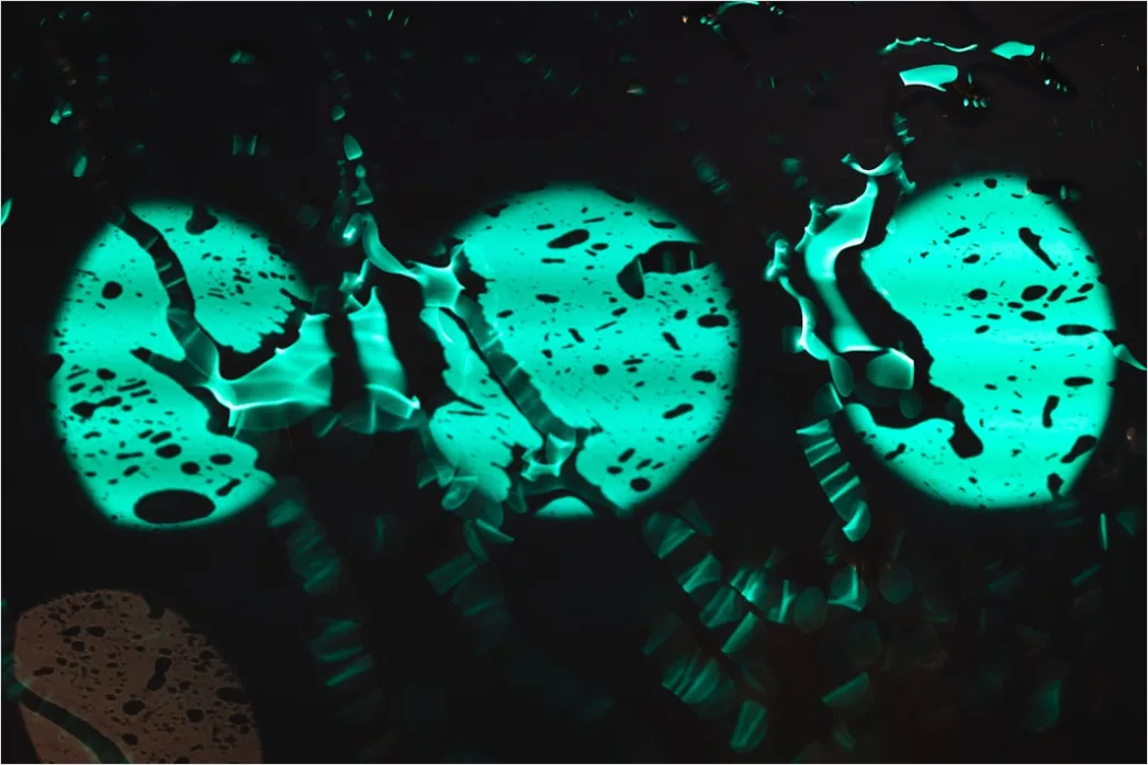 Detail Fluorescence Microscopy Image Cells Glowing Colors Number 20