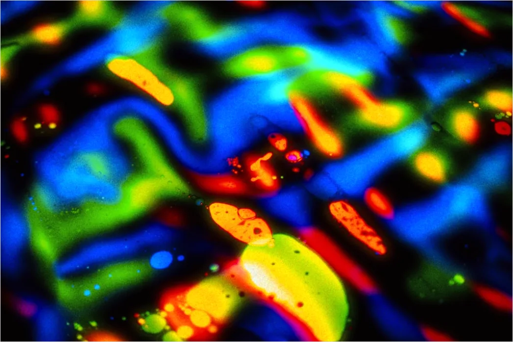 Detail Fluorescence Microscopy Image Cells Glowing Colors Number 7