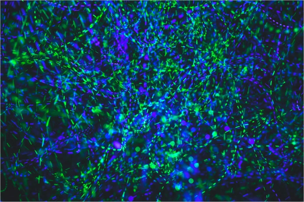 Detail Fluorescence Microscopy Image Cells Glowing Colors Number 10
