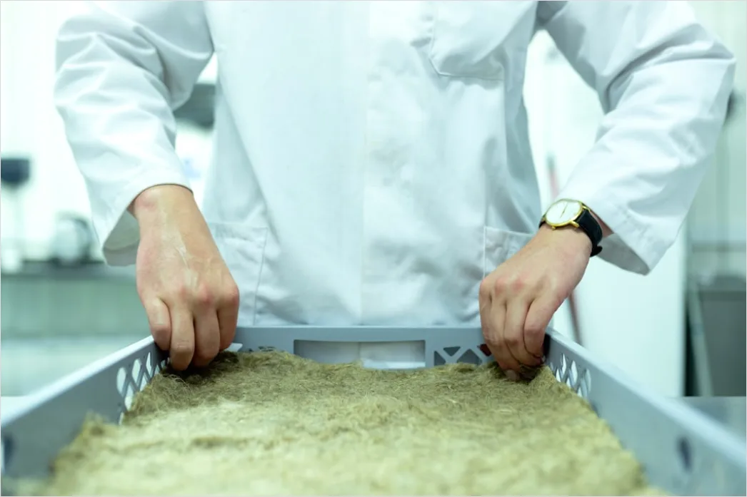 Detail Food Manufacturing Worker Quality Control Inspection Number 12
