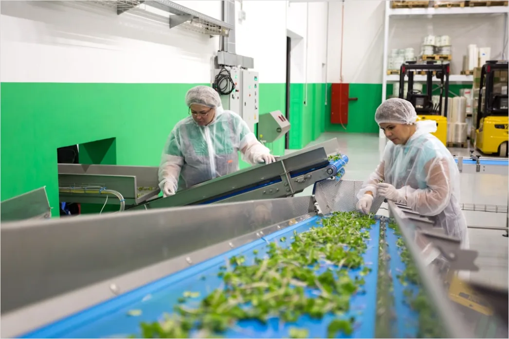Detail Food Manufacturing Worker Quality Control Inspection Number 5