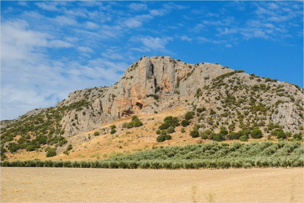 Detail Geologist Examining Rock Formations In Field Number 13