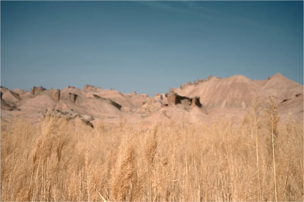 Detail Geologist Examining Rock Formations In Field Number 4