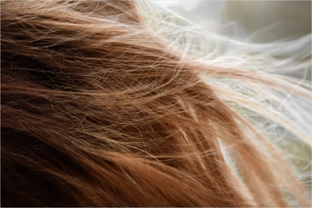 Detail Hair Oiling Routine For Dry Damaged Hair Number 5