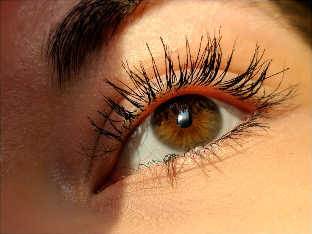 Detail How To Apply False Lashes Naturally Beginner Number 4