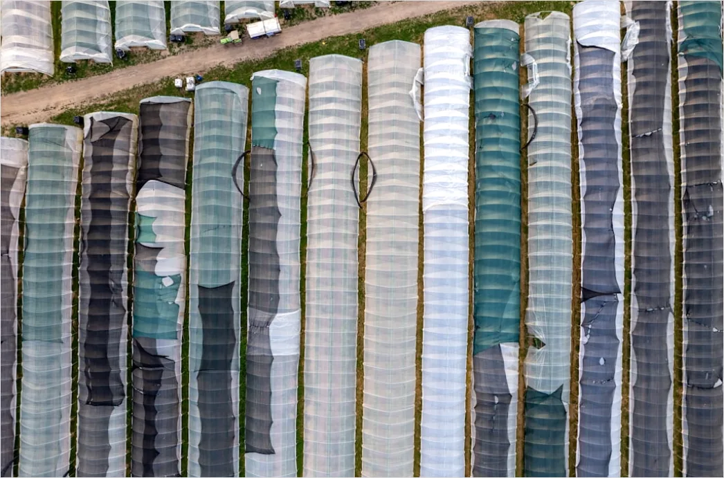 Detail Industrial Chemical Storage Tank Farm Aerial View Number 13
