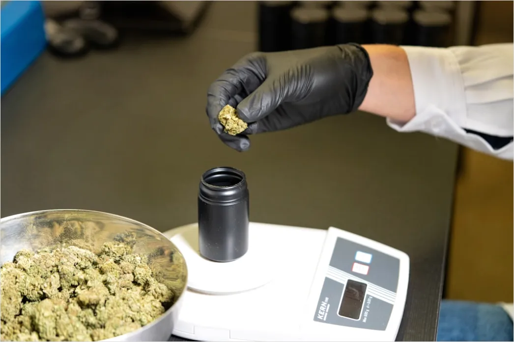 Detail Laboratory Scale Weighing Powder Close Up Number 12