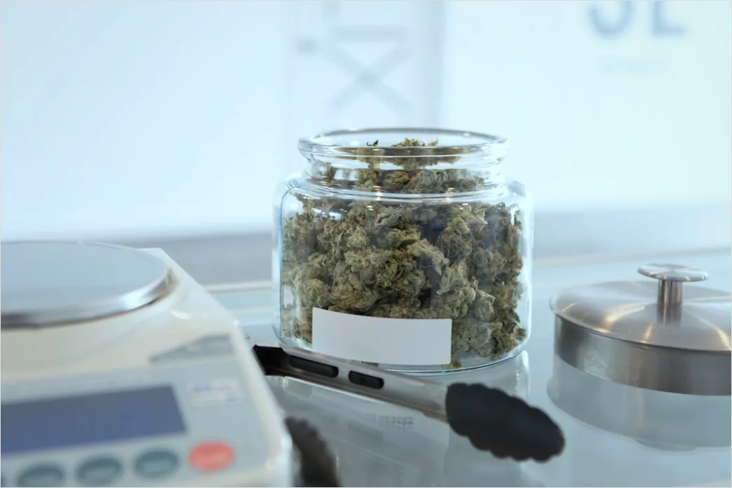 Detail Laboratory Scale Weighing Powder Close Up Number 5