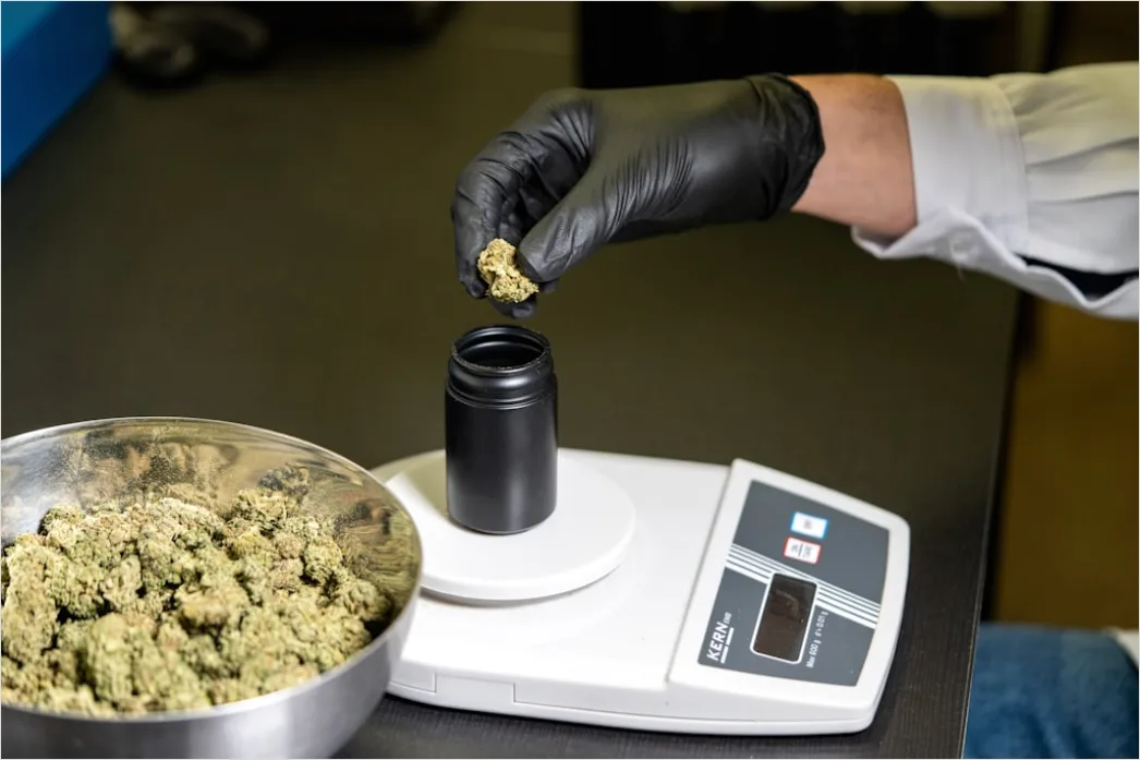 Detail Laboratory Scale Weighing Powder Close Up Number 8