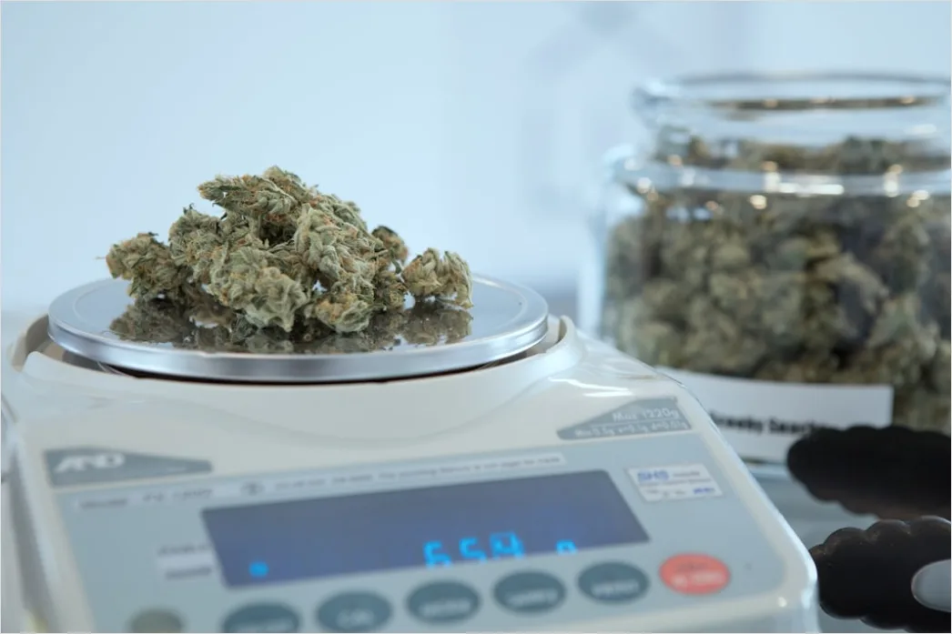 Detail Laboratory Scale Weighing Powder Close Up Number 9