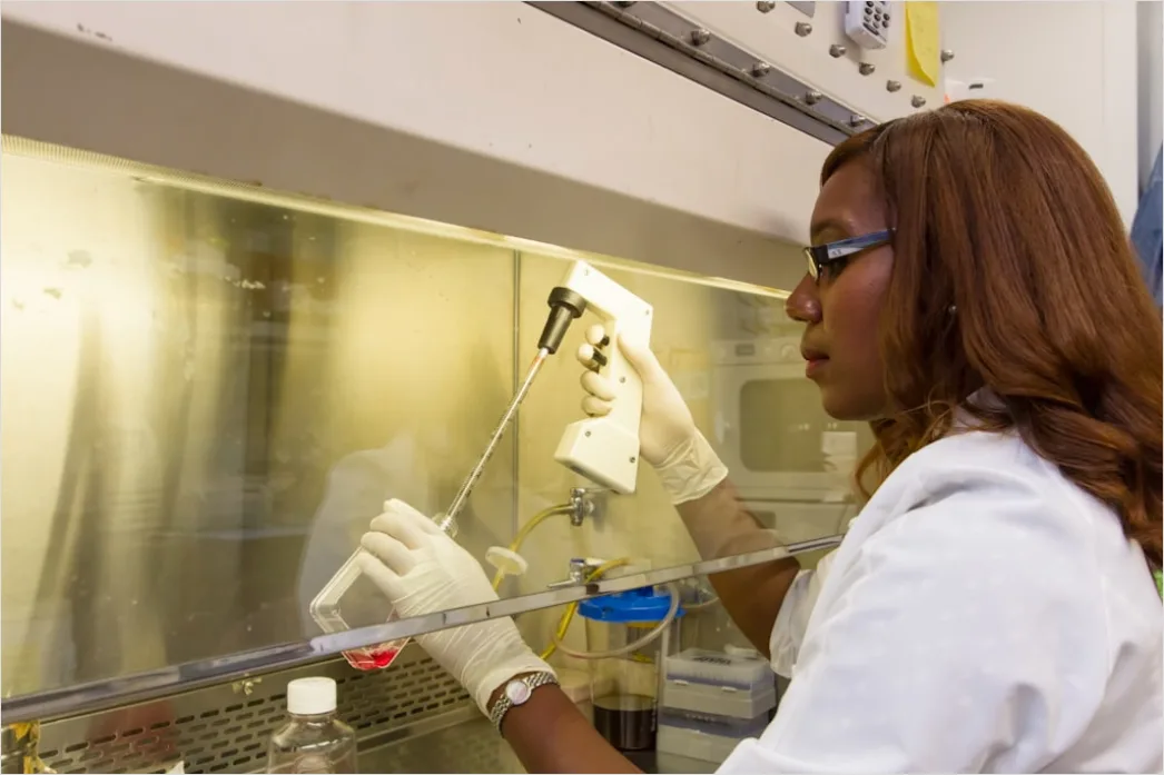Laboratory Technician Preparing Samples At Bench 10a3