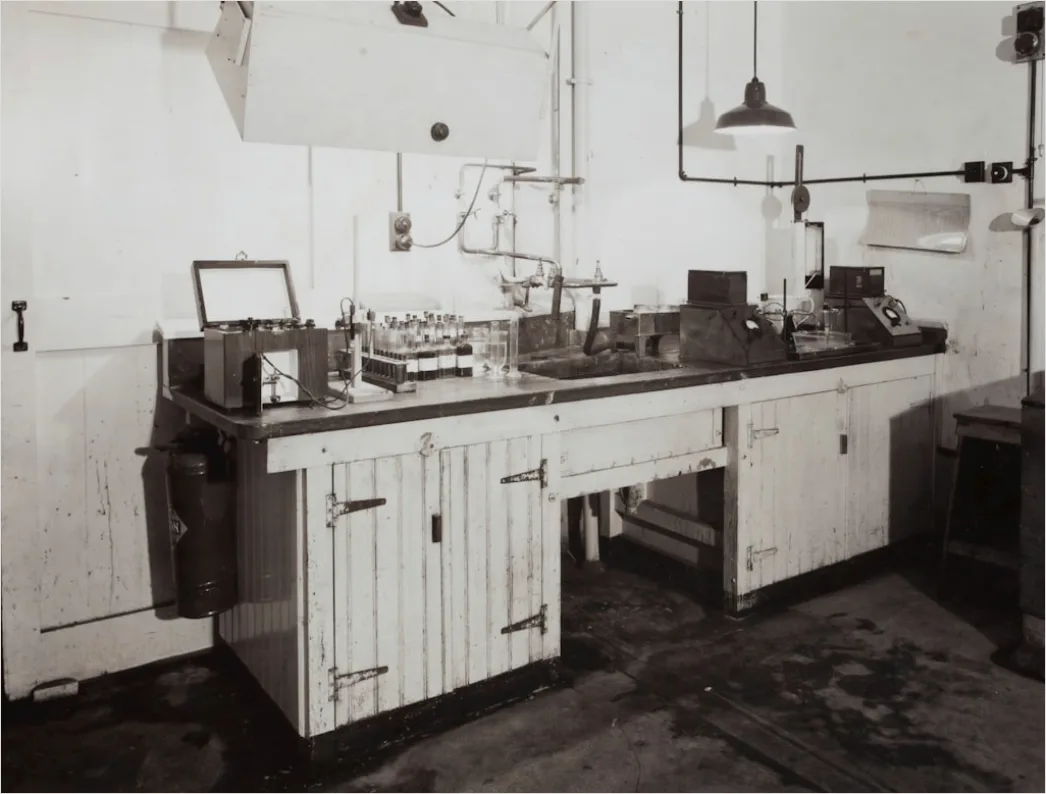Detail Laboratory Technician Preparing Samples At Bench Number 5