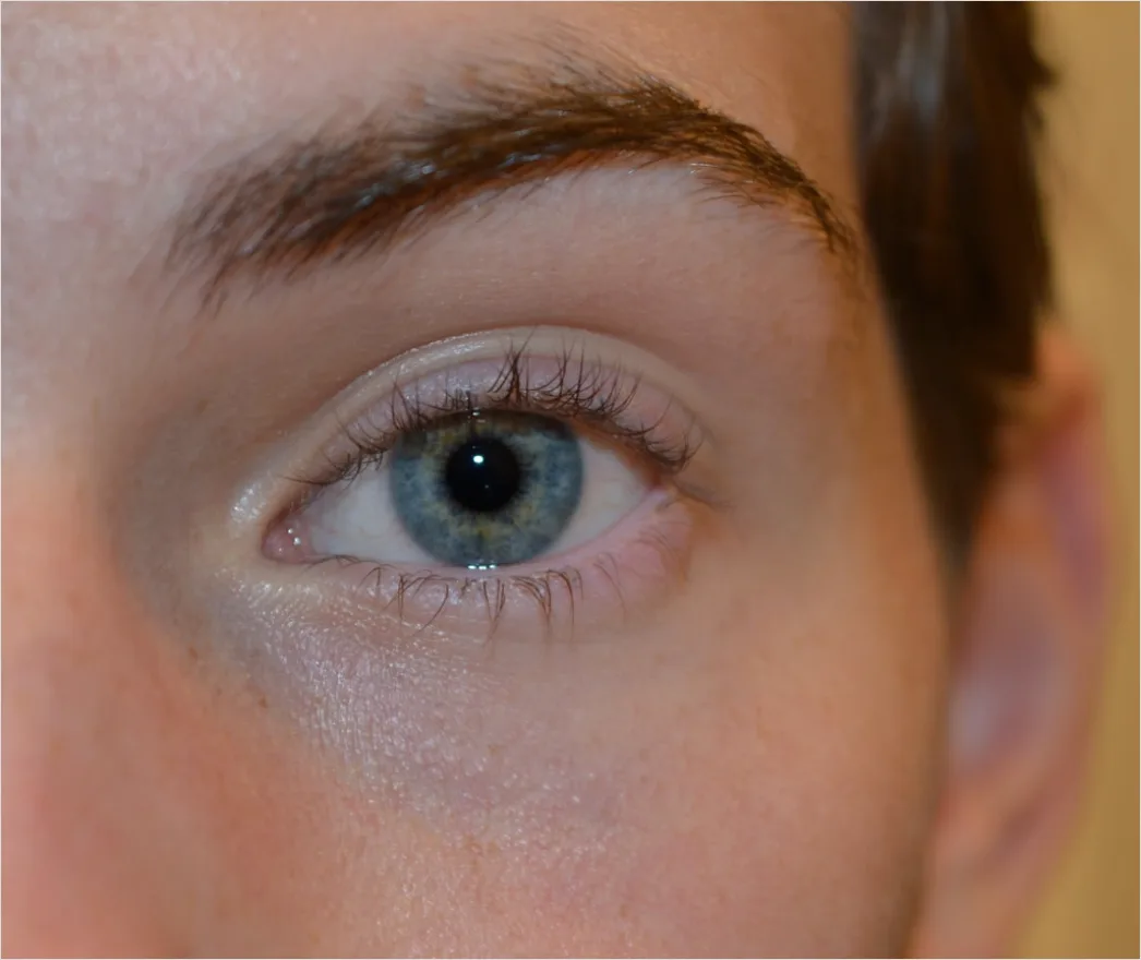 Detail Lash Lift And Tint Results Before And After Number 17