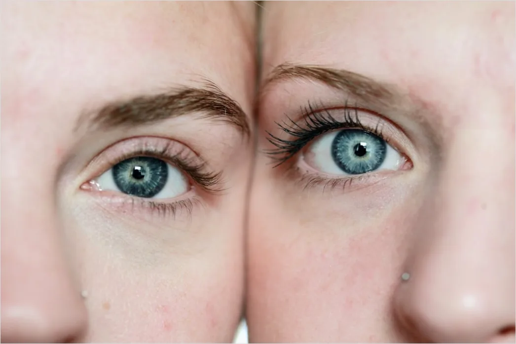 Detail Lash Lift And Tint Results Before And After Number 4