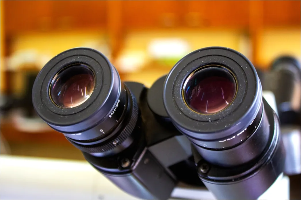 Detail Microscope Focus Knob Macro Detail Photo Number 11