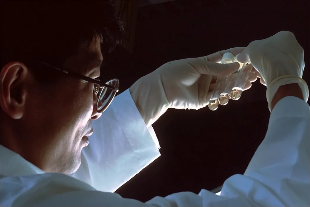 Detail Microscopy Slide Preparation Hands Close Up Number 12