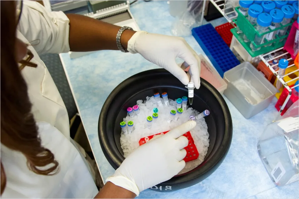 Detail Molecular Biology Lab With Pipettes And Tubes Number 13