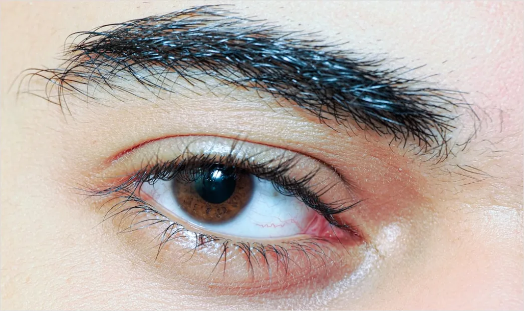 Detail Ombre Eyebrow Technique For Natural Look Number 11