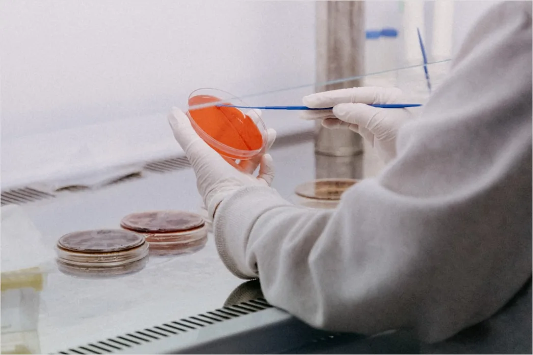 Detail Pathology Lab Technician Examining Tissue Samples Number 2