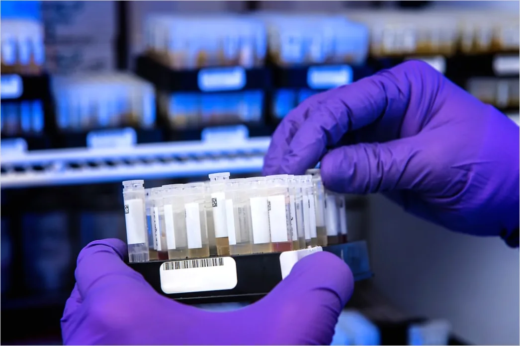 Detail Pathology Lab Technician Examining Tissue Samples Number 18