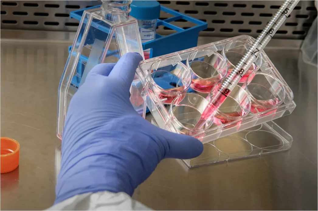Detail Pathology Lab Technician Examining Tissue Samples Number 9