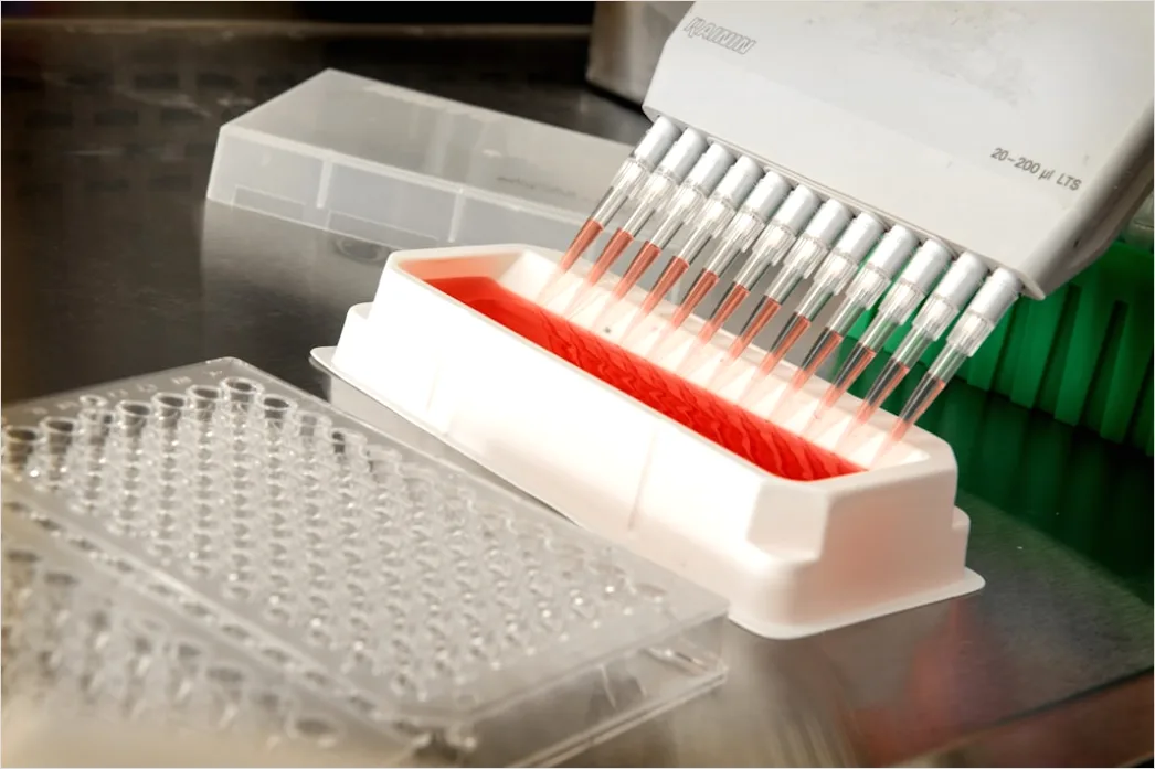 Detail Pipette And Microplate Assay Close Up Number 2