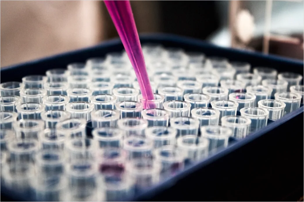 Detail Pipette And Microplate Assay Close Up Number 13