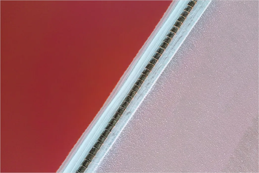 Detail Pipette And Microplate Assay Close Up Number 16