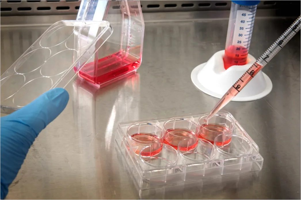 Detail Pipette And Microplate Assay Close Up Number 19