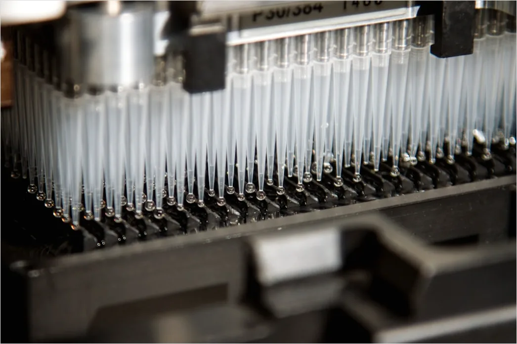 Detail Pipette And Microplate Assay Close Up Number 3