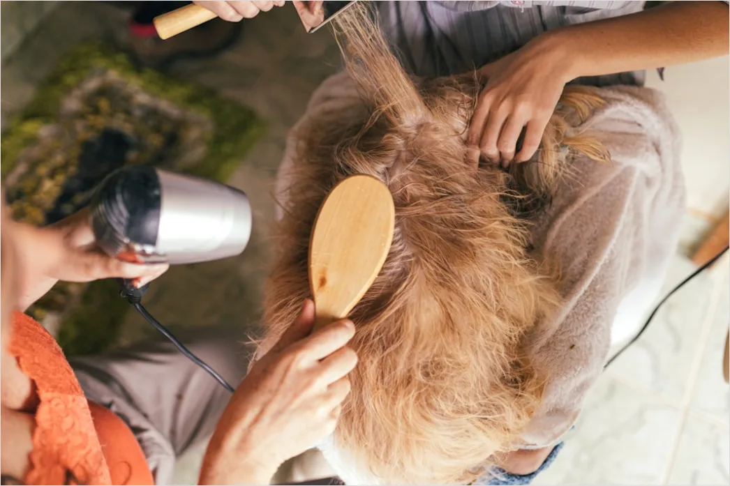 Protein Treatment For Damaged Hair At Home C914