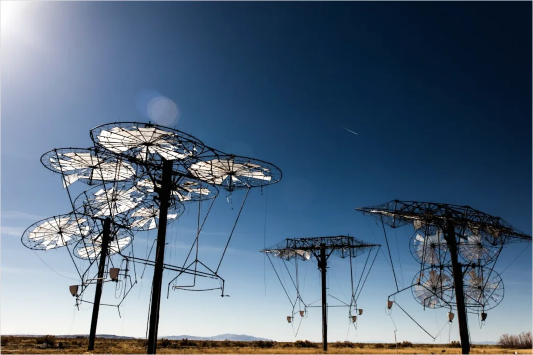 Detail Radio Telescope Array Landscape Science Research Number 16