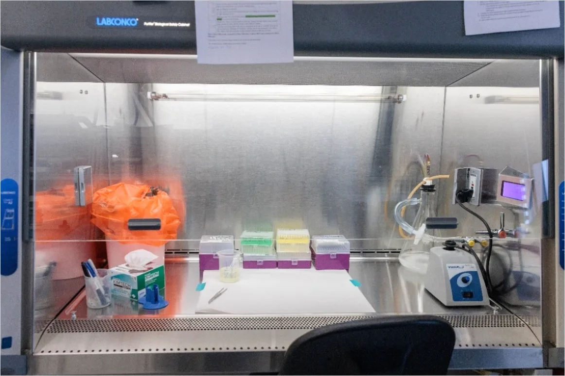 Detail Researcher Using Biosafety Cabinet In Lab Number 12