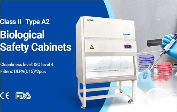 Detail Researcher Using Biosafety Cabinet In Lab Number 14