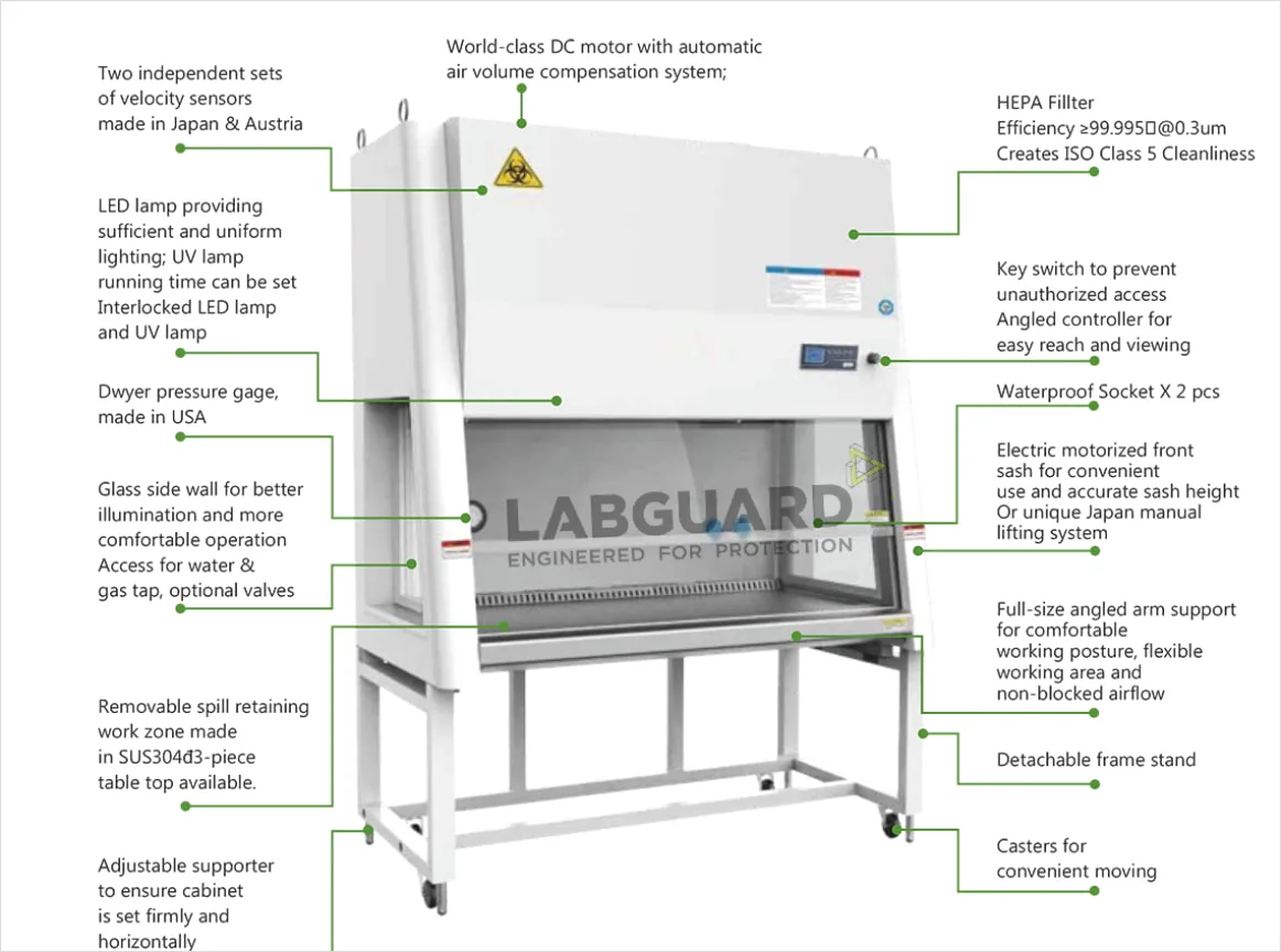 Detail Researcher Using Biosafety Cabinet In Lab Number 18