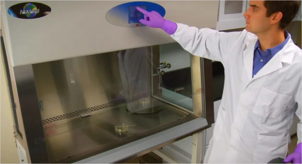 Detail Researcher Using Biosafety Cabinet In Lab Number 2