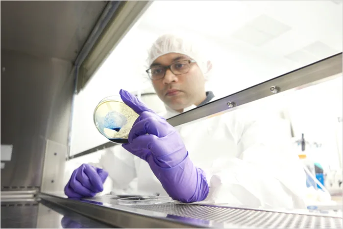 Detail Researcher Using Biosafety Cabinet In Lab Number 3