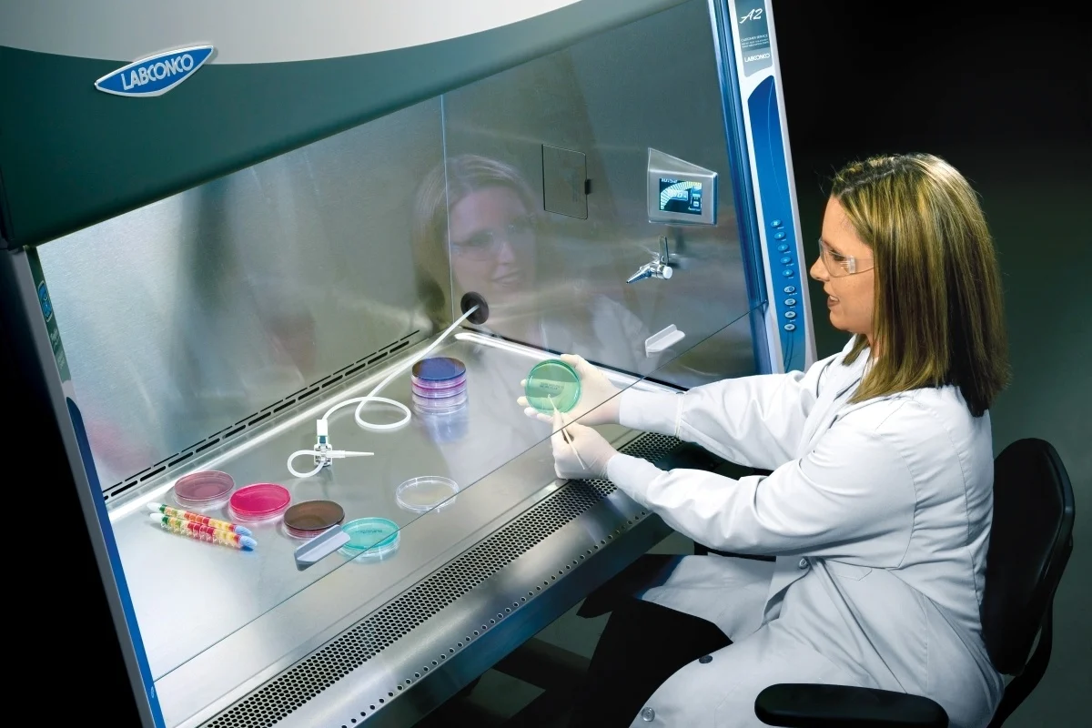 Detail Researcher Using Biosafety Cabinet In Lab Number 4