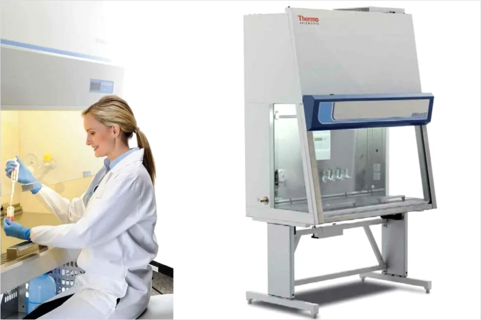 Detail Researcher Using Biosafety Cabinet In Lab Number 6