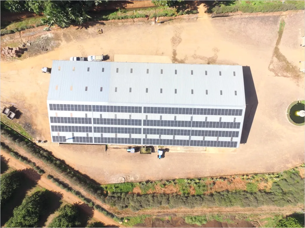 Detail Roofing Workers Installing Panels Commercial Building Number 6