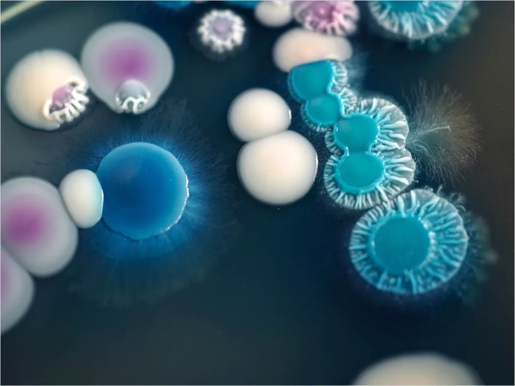 Detail Scientific Illustration Concept For Research Publication Number 18